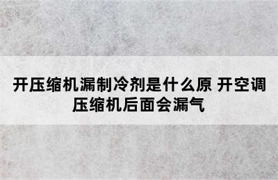 开压缩机漏制冷剂是什么原 开空调压缩机后面会漏气